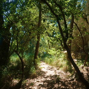 24_Focalitzar