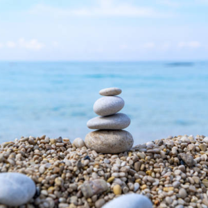 istockphoto-1321442161-612x612